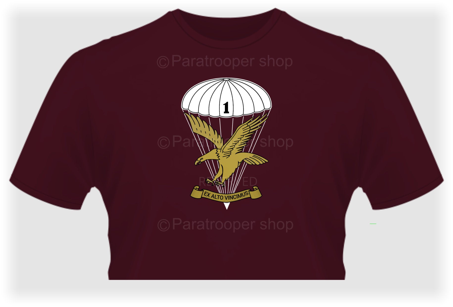 1 Parachute Battalion T Shirt - 1 PBN Center Emblem TBAT-10 Paratrooper Shop