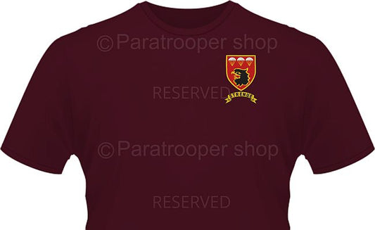 3 Parachute Battalion T-shirt. TBAT 3 PBN A Paratrooper Shop