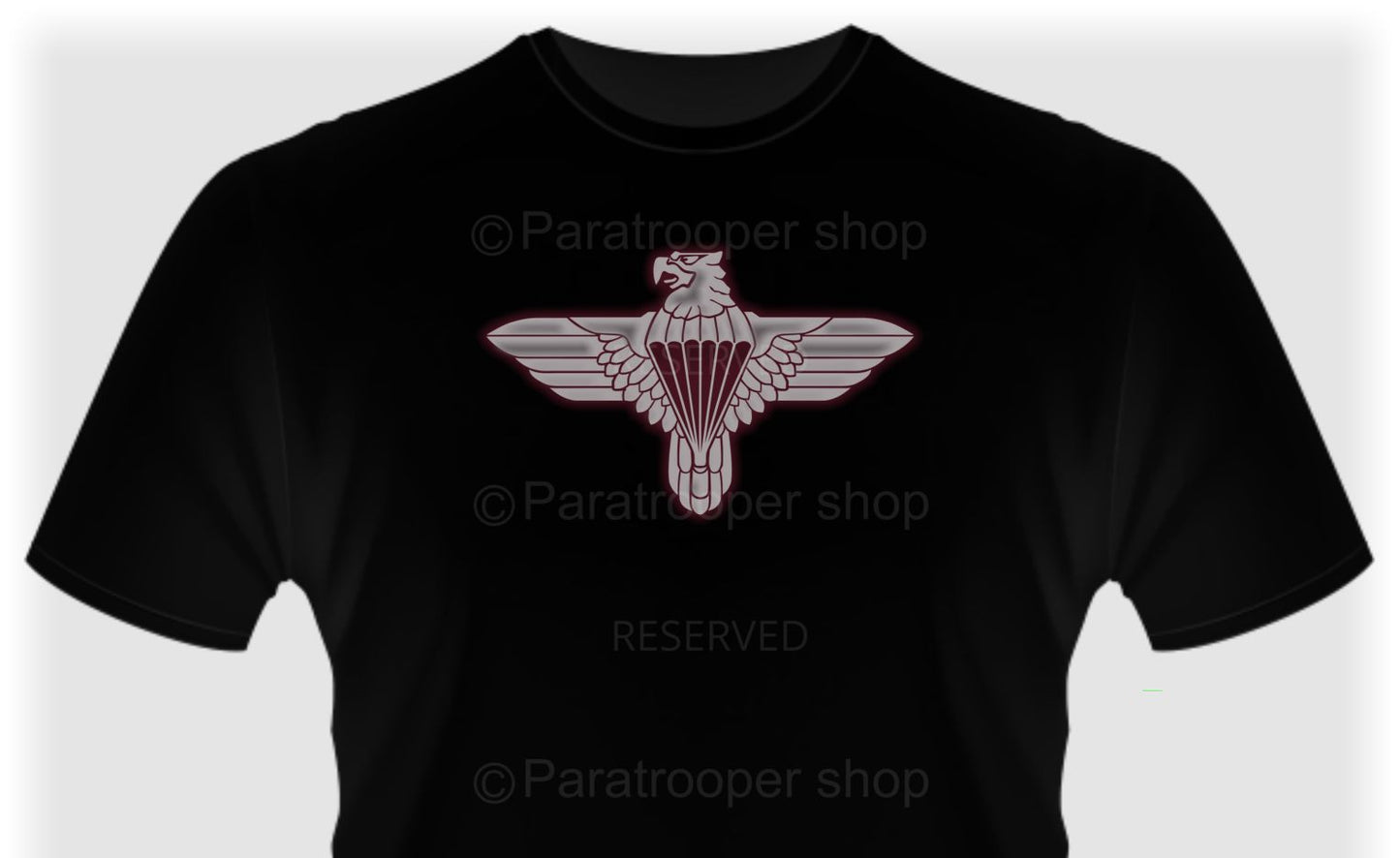 44 Parachute Brigade T-shirt - Iron eagle. Tee-88-44 ParaBrig Paratrooper Shop