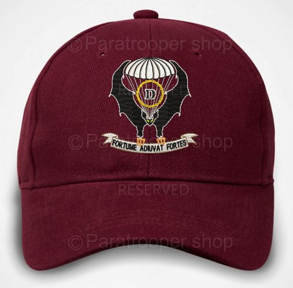 Delta Company Cap- Cap Delta